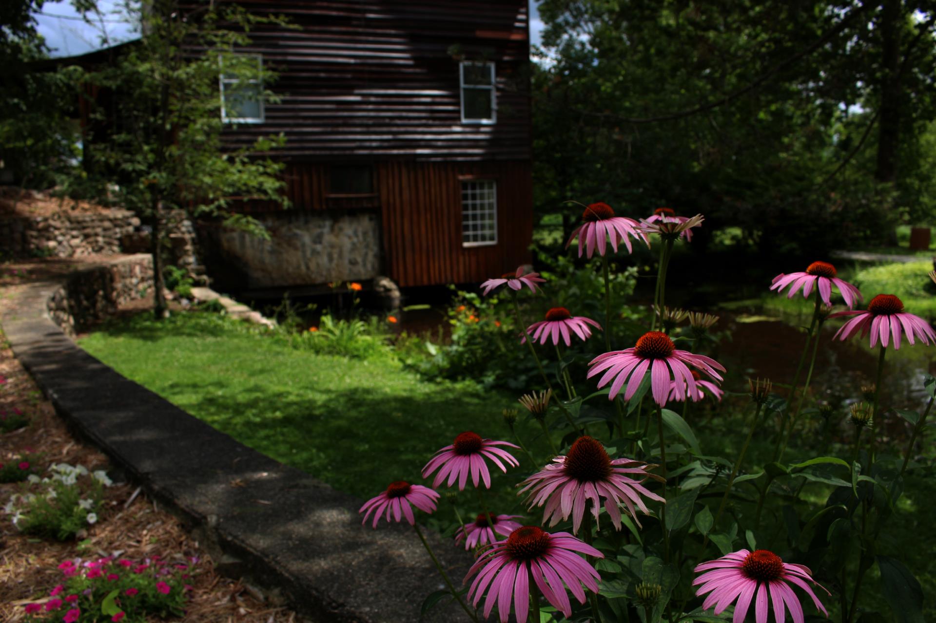 Opportunities to Serve